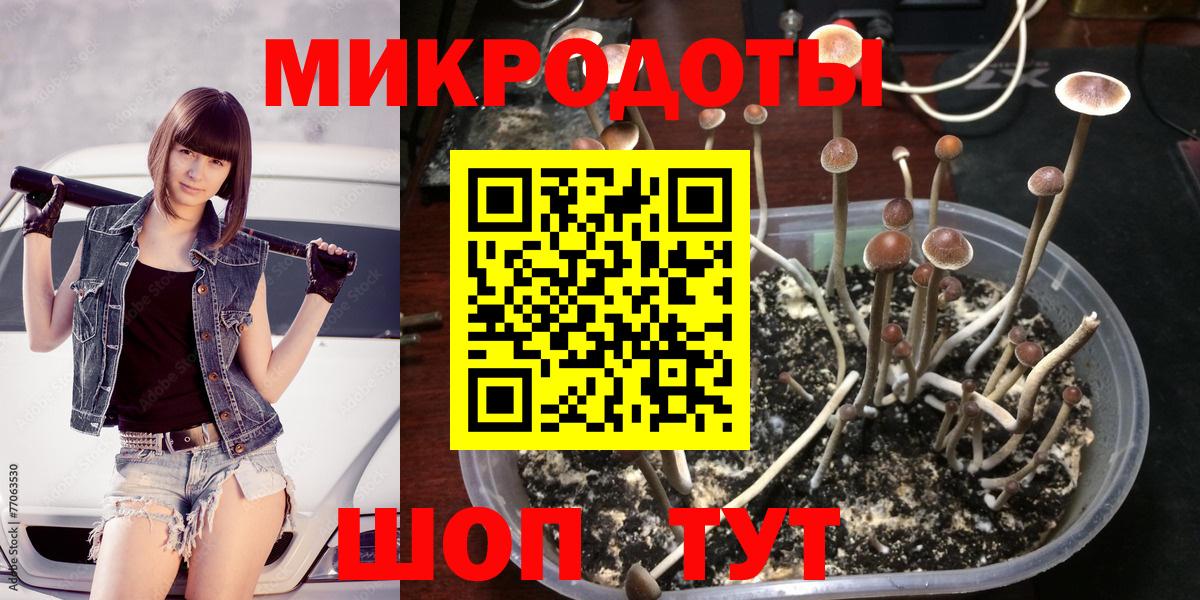 Псилоцибиновые грибы ЛСД  Псилоцибиновые грибы прущие грибы  Кумертау  Вход с VPN 